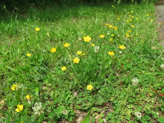 Especially good playground for older kids!