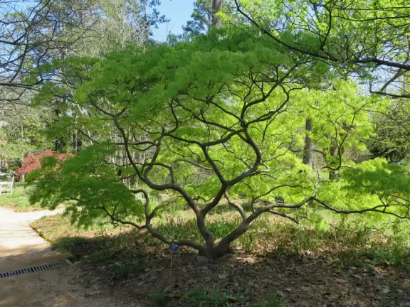 A quiet spot to take a minute in nature.