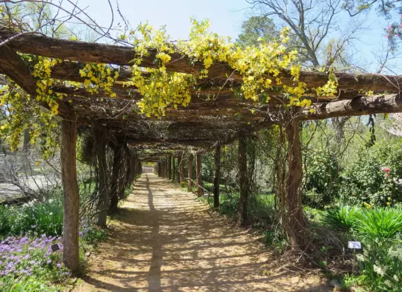 A quiet spot to take a minute in nature.