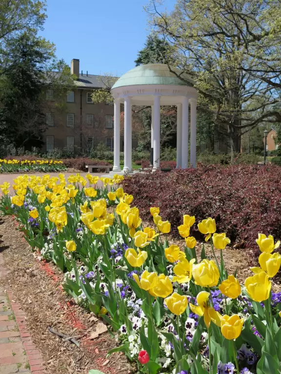 Historic buildings, sunny quad where students hang out, flowers and old trees, and fun student center area.