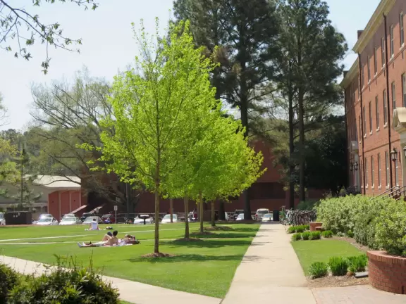 Pleasant campus with lots of open spaces to hang out.