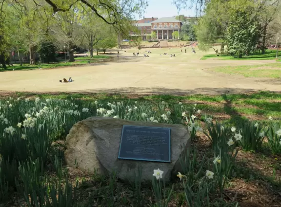 Pleasant campus with lots of open spaces to hang out.