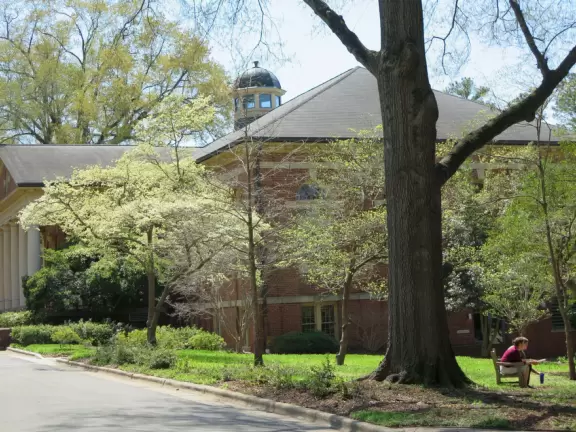 Pleasant campus with lots of open spaces to hang out.