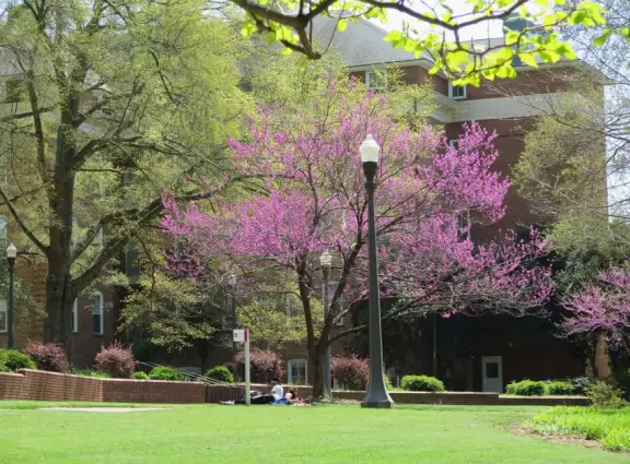 Pleasant campus with lots of open spaces to hang out.