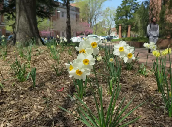 Pleasant campus with lots of open spaces to hang out.