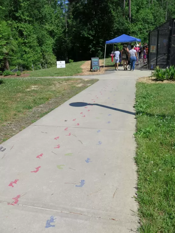 Forested area with cute lemurs in cages.