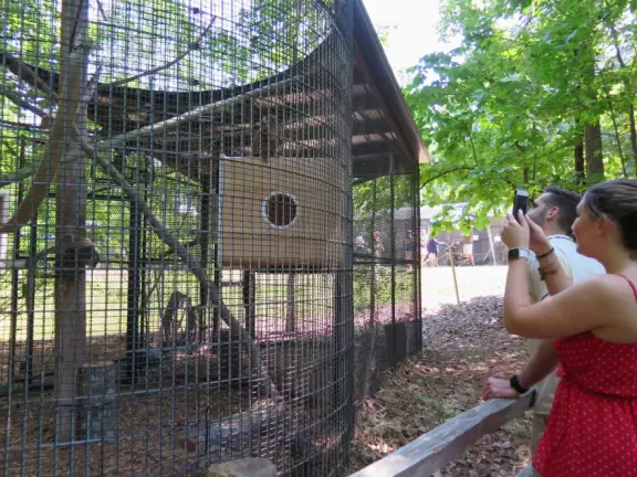 Forested area with cute lemurs in cages.