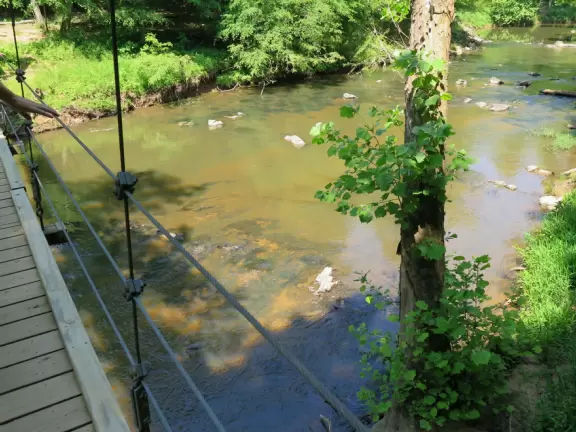 Pretty area with flowing river, rocks to play on, forest and flowers, and swinging bridge.
