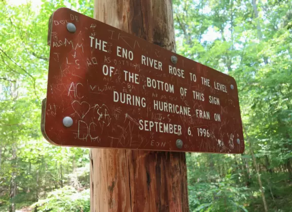 Pretty area with flowing river, rocks to play on, forest and flowers, and swinging bridge.