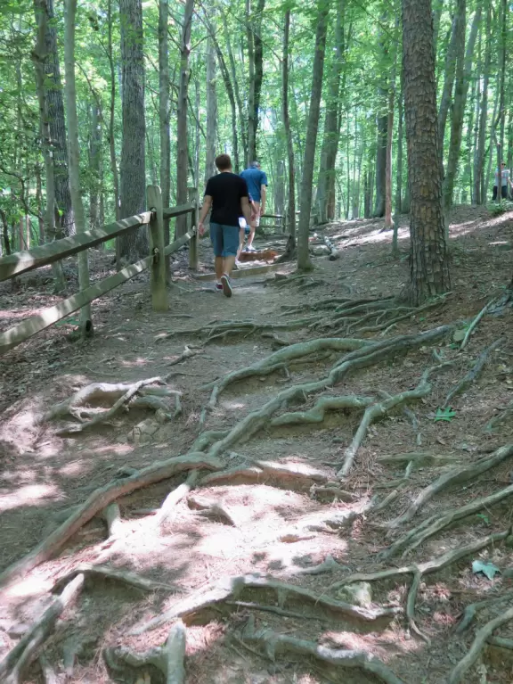 Pretty area with flowing river, rocks to play on, forest and flowers, and swinging bridge.