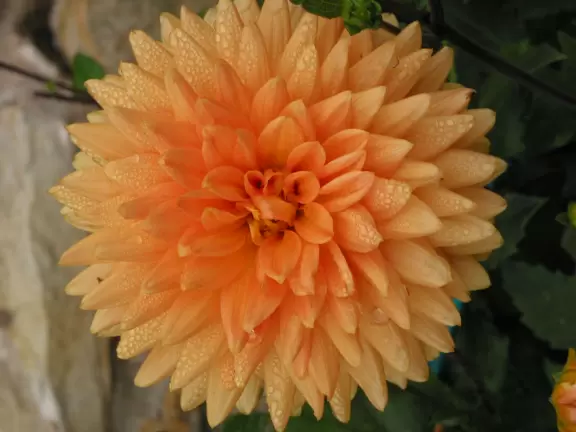 A rustic yet glorious mission, with fantastic gardens.