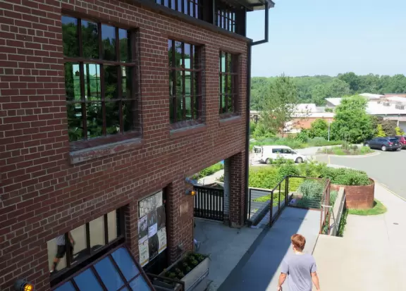 Lush trail along the river.