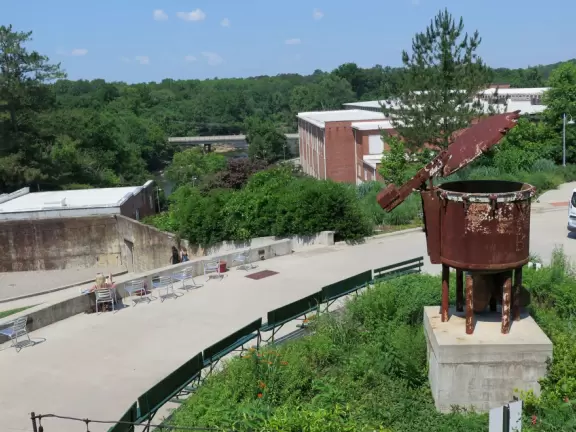 Lush trail along the river.