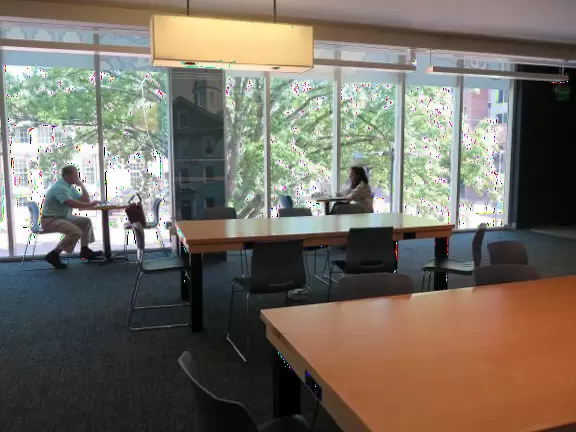 Historic buildings, sunny quad where students hang out, flowers and old trees, and fun student center area.