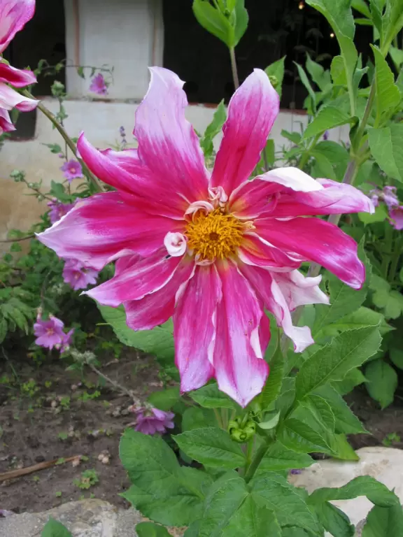 A rustic yet glorious mission, with fantastic gardens.