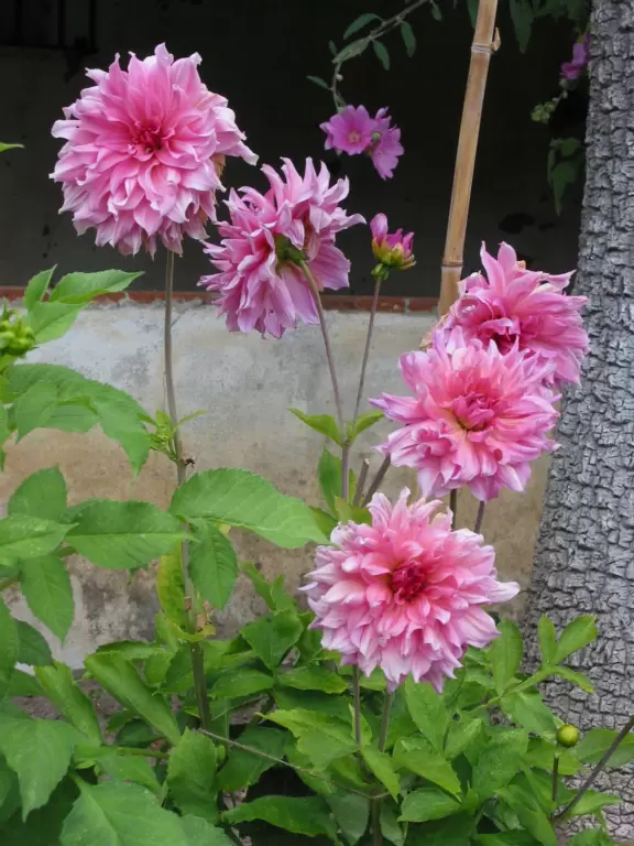 A rustic yet glorious mission, with fantastic gardens.