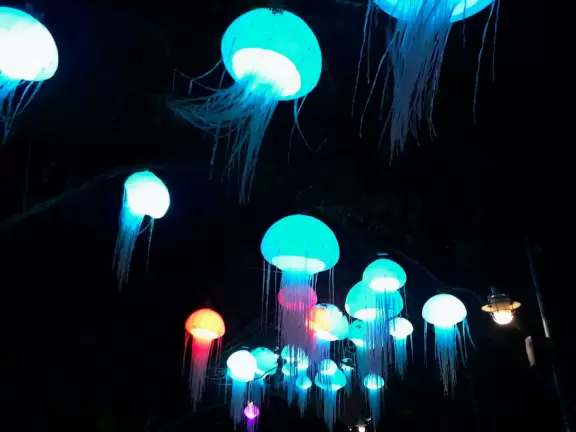 Beautiful park with great rollercoaster rides and amazing aquariums.