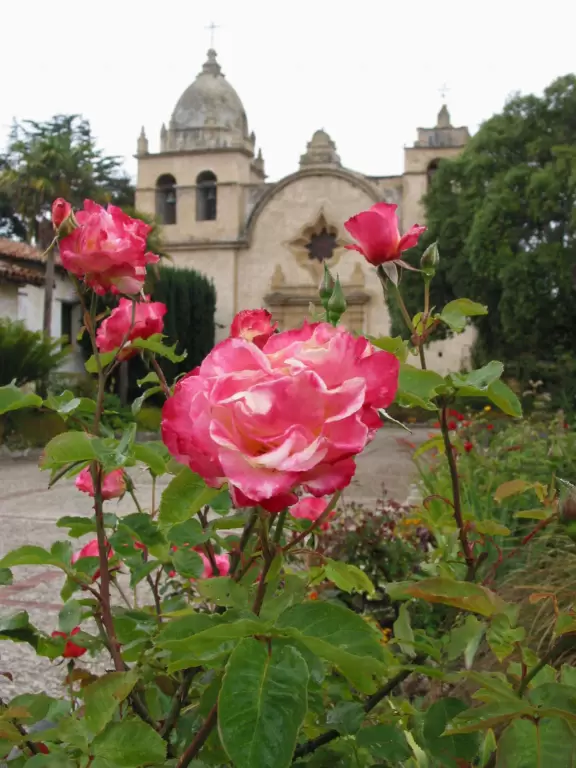 A rustic yet glorious mission, with fantastic gardens.