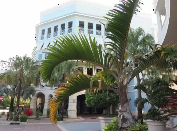 A happening spot with a sunken amphitheater by the water where kids can run in a splash pad and fountains are lit up at night.&nbsp; BurgerFi, Subculture Coffee, and a few restaurants.