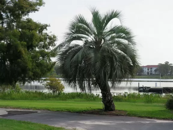 Beautiful bike path along Turkey Lake, plus large playground, swimming pool, fishing pier, and gazebos.
