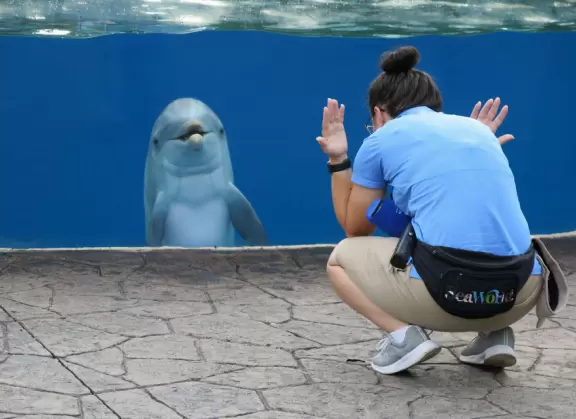 Beautiful park with great rollercoaster rides and amazing aquariums.