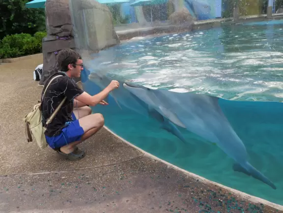 Beautiful park with great rollercoaster rides and amazing aquariums.