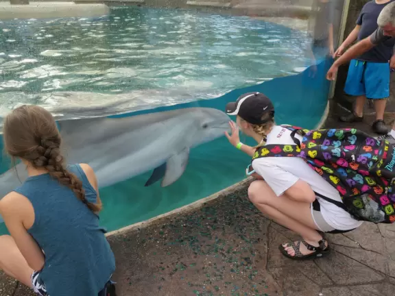 Beautiful park with great rollercoaster rides and amazing aquariums.