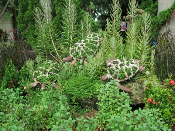 Beautiful park with great rollercoaster rides and amazing aquariums.