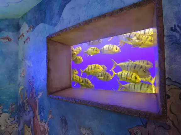 Beautiful park with great rollercoaster rides and amazing aquariums.