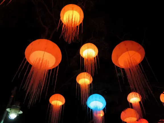 Beautiful park with great rollercoaster rides and amazing aquariums.