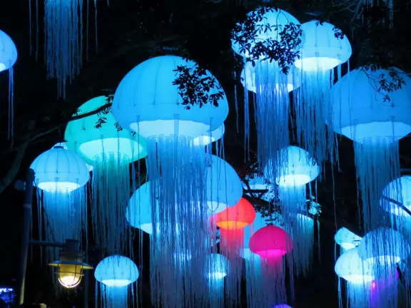 Beautiful park with great rollercoaster rides and amazing aquariums.