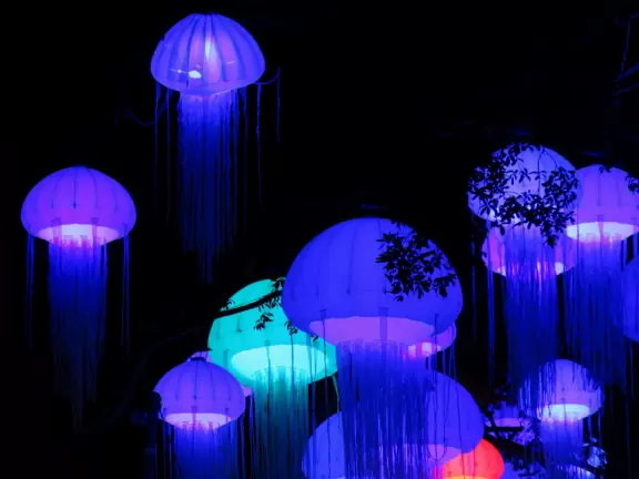 Beautiful park with great rollercoaster rides and amazing aquariums.