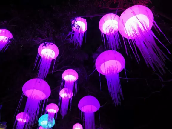 Beautiful park with great rollercoaster rides and amazing aquariums.