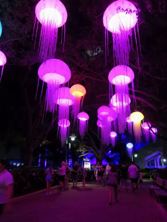 Beautiful park with great rollercoaster rides and amazing aquariums.