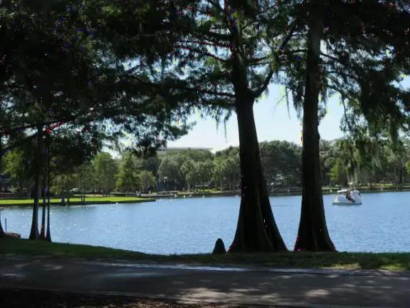 Idyllic park, like a movie scene, with swans, gorgeous trees, and happy people.