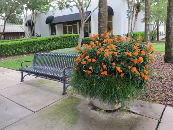 A cute main strip with restaurants, a bike path, and a splash pad.