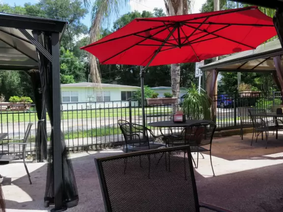 Sweet little path around Lake Davis in downtown Orlando.