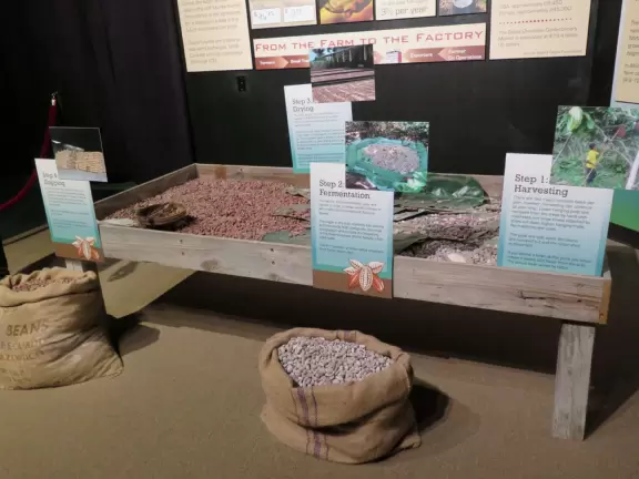 45 minute tour of chocolate factory.