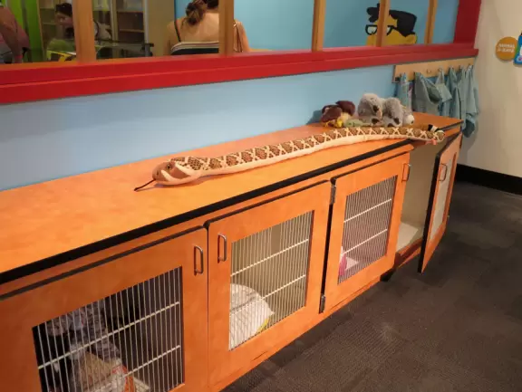 Super children's museum with rope climbey, music station, dance area, lincoln logs, magnetic triangles, sand that responds, supermarket, and more!