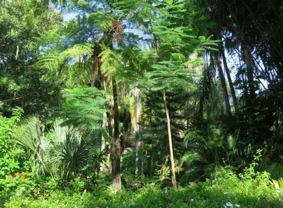 Beautiful gardens surrounding a historical house on a lake with lovely cool breezes. Best in summer when the tropical plants look happy.