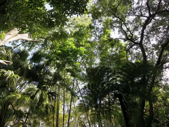 Beautiful gardens surrounding a historical house on a lake with lovely cool breezes. Best in summer when the tropical plants look happy.