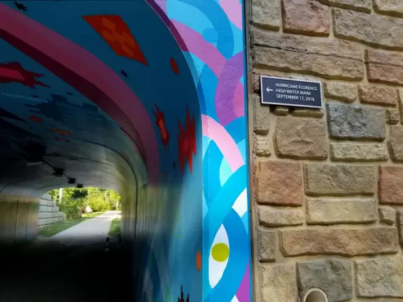 Lovely shady greenway- great for a long walk.