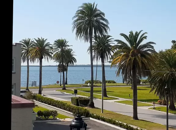It's wonderful to walk along the St. Joseph Sound under the tall palm trees.