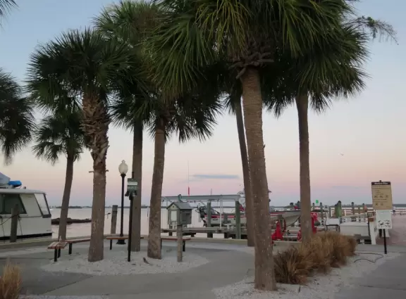 Dunedin Marina, on the intracoastal, almost has a seaside feel!