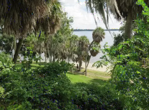 Wonderful park with many walking paths on a hill above the intracoastal. You must go here!