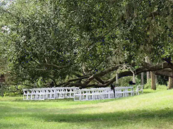Wonderful park with many walking paths on a hill above the intracoastal. You must go here!