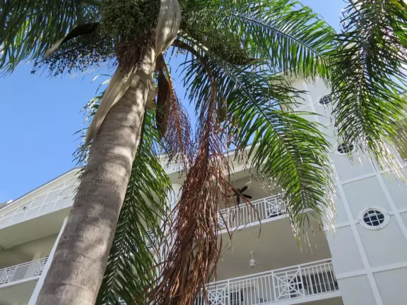 Pretty marina area where you can see manatees.