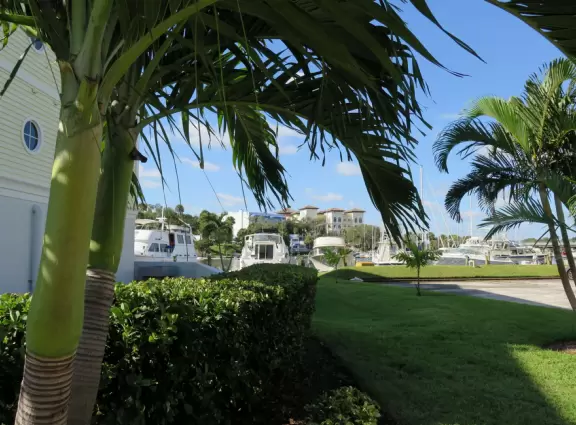 Pretty marina area where you can see manatees.