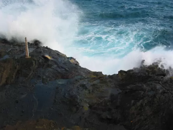 One of my favorite swims ever!