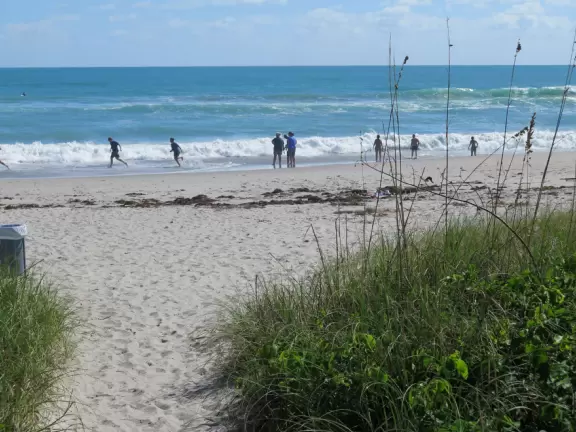 Boardwalk raised up over a great beach.